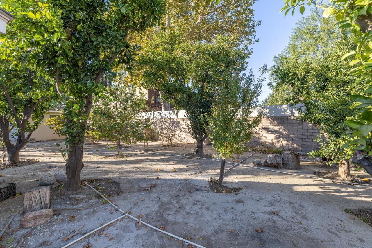 Spacious Home With Garden & Pool 로스앤젤레스 외부 사진